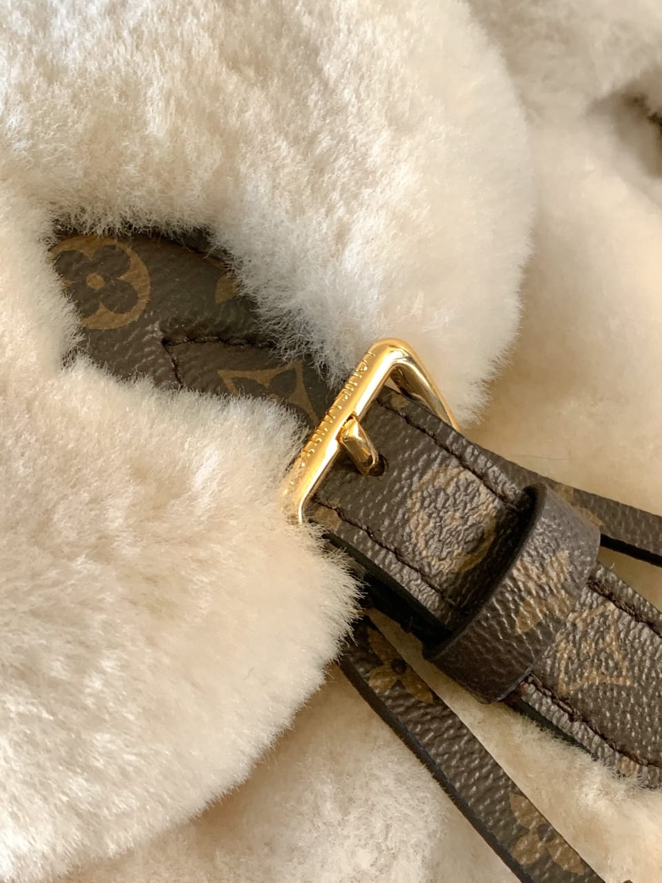 Louis Vuitton Nano Teddy Backpack Hand Bags for women