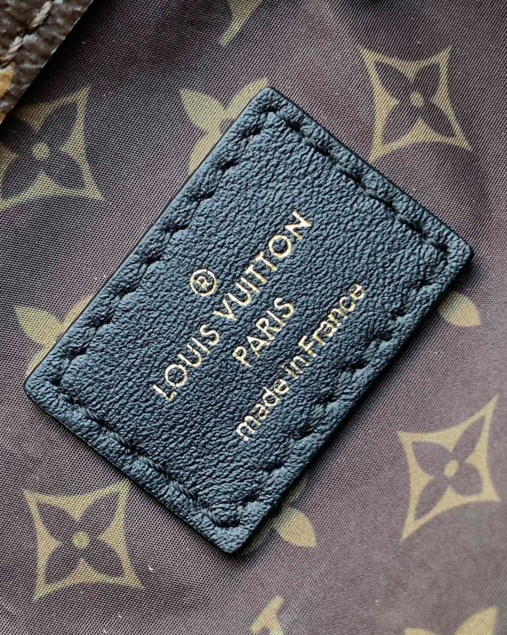 Louis Vuitton Nano Teddy Backpack Hand Bags for women